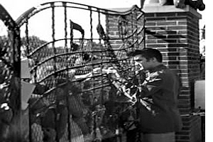 Elvis at the gates with fans