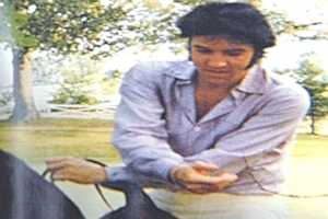 Elvis riding one of his horses at Graceland